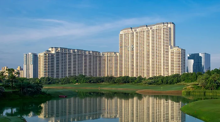 DLF The Camellias
